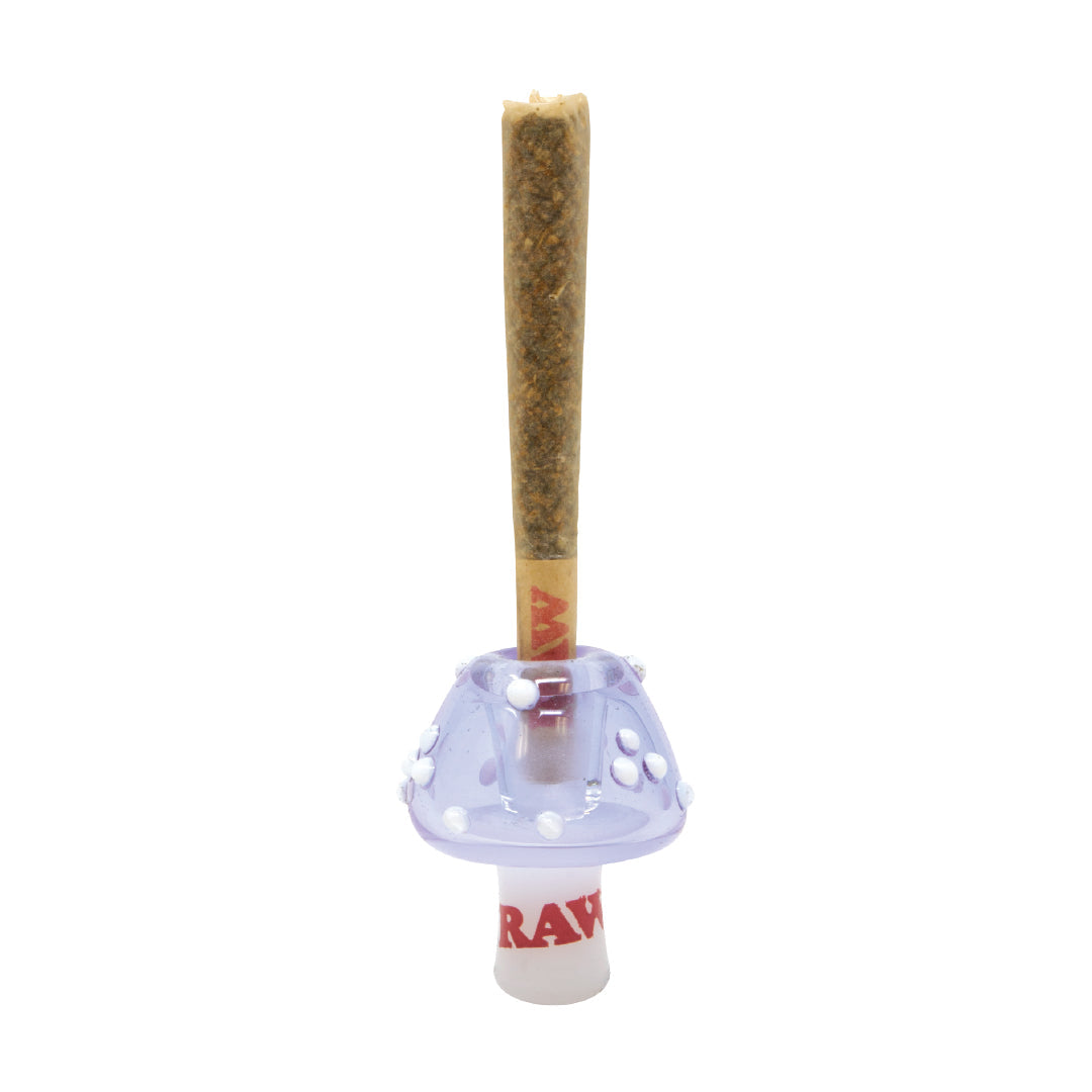 RAW Glass Cone Holders - Image 3